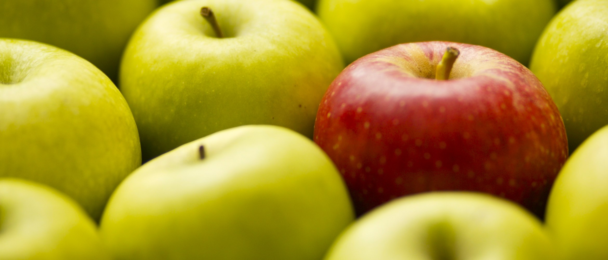Une sélection de pommes vertes et rouge