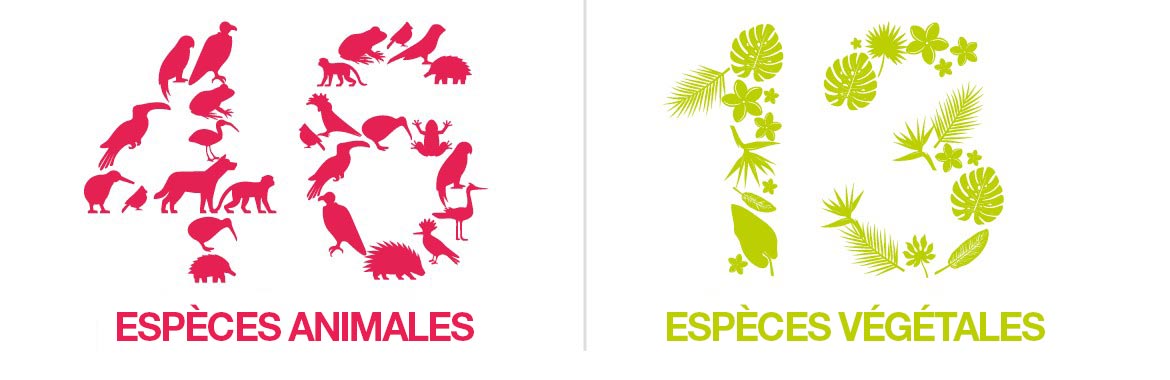 Graphique environnemental indiquant que 46 espèces animales et 13 espèces de plantes étaient protégées via Brother Earth